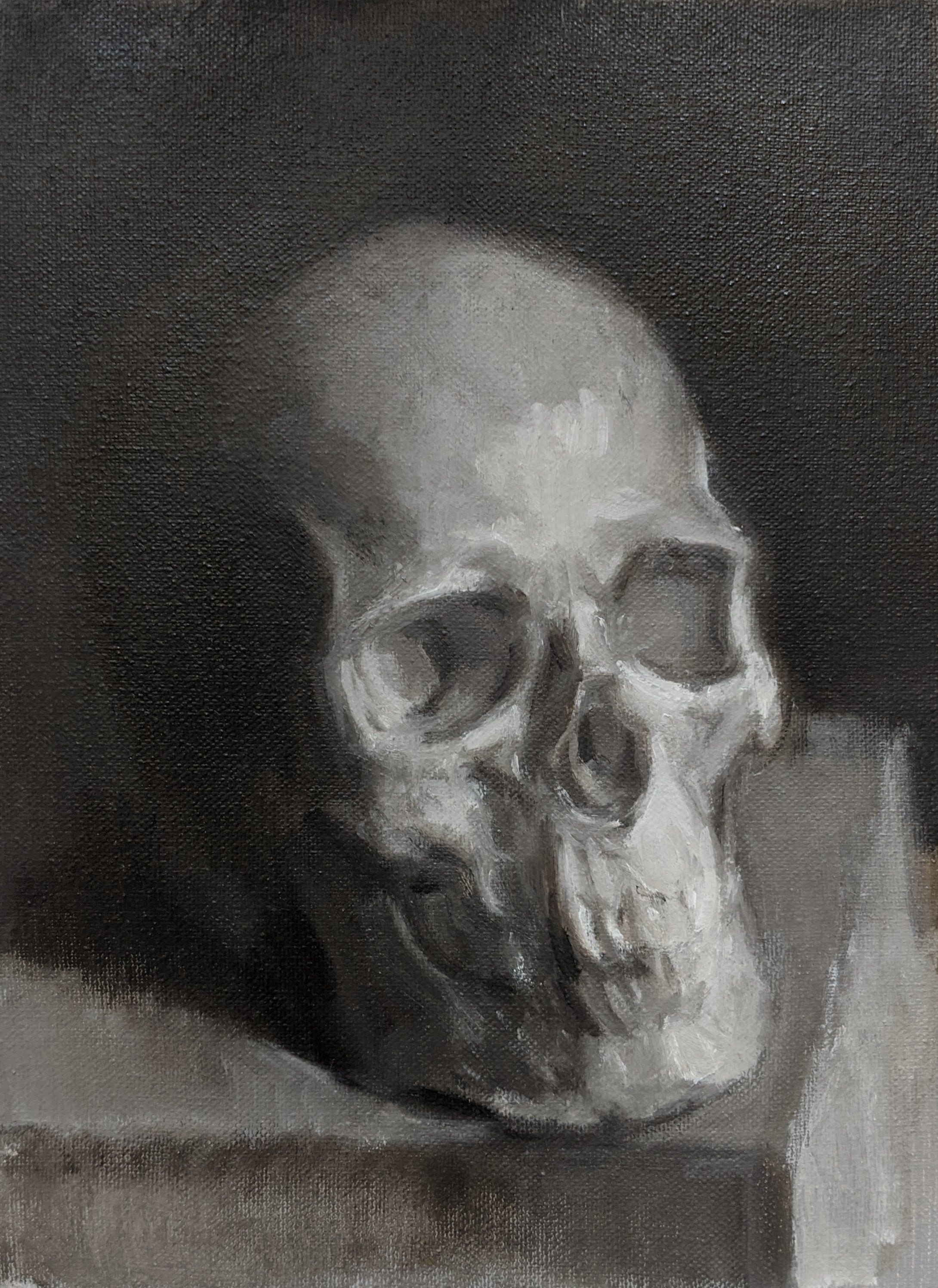 Skull Study in Black and White